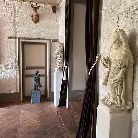 Hotel Château De La Coutancière -