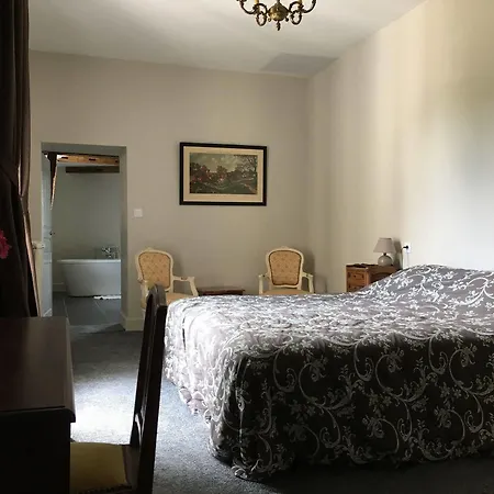 Chateau De La Coutanciere فندق Brain-sur-Allonnes