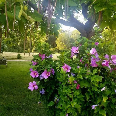 Chateau De La Coutanciere Hotel Brain-sur-Allonnes