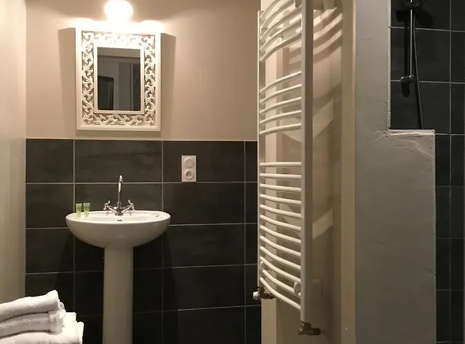 Otel Chateau De La Coutanciere 3*