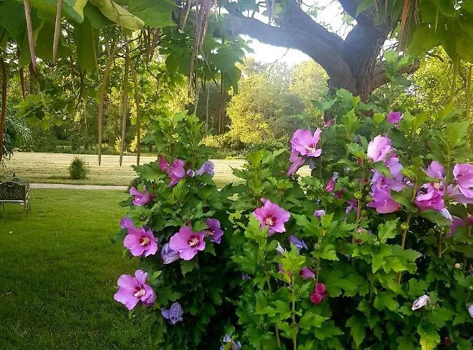 Chateau De La Coutanciere Hotel Brain-sur-Allonnes